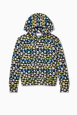 Rainbow Stripe Leopard Crazysoft HoodieTOPSRockets of Awesome